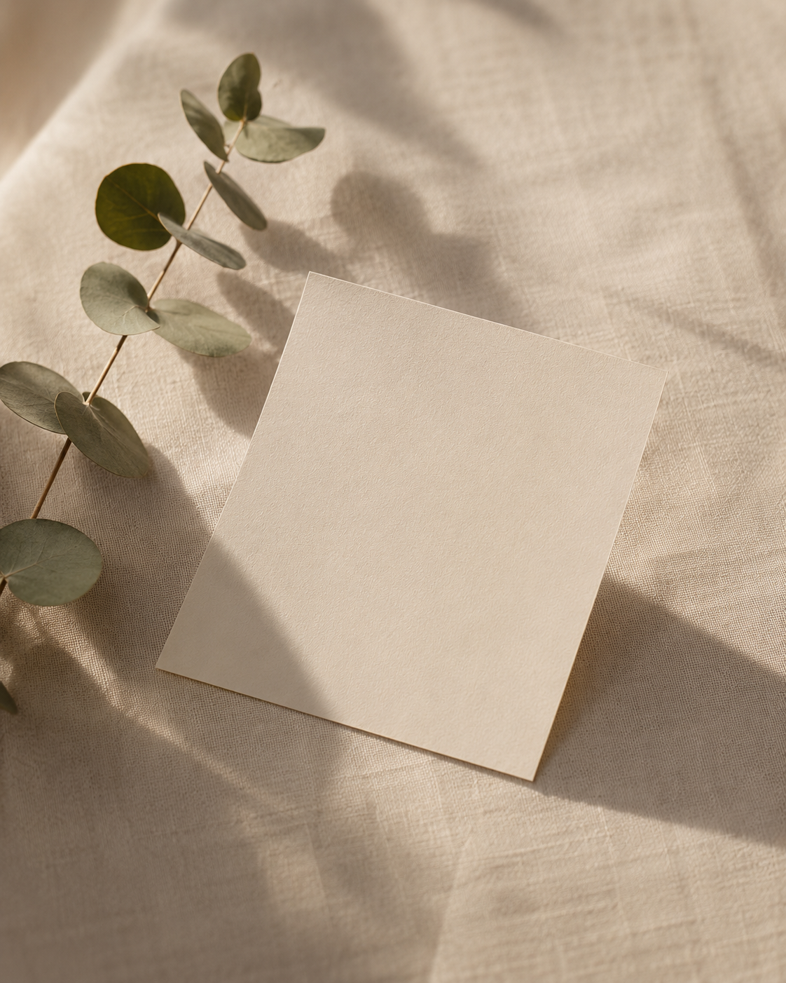 Appointment card and eucalyptus on warm linen